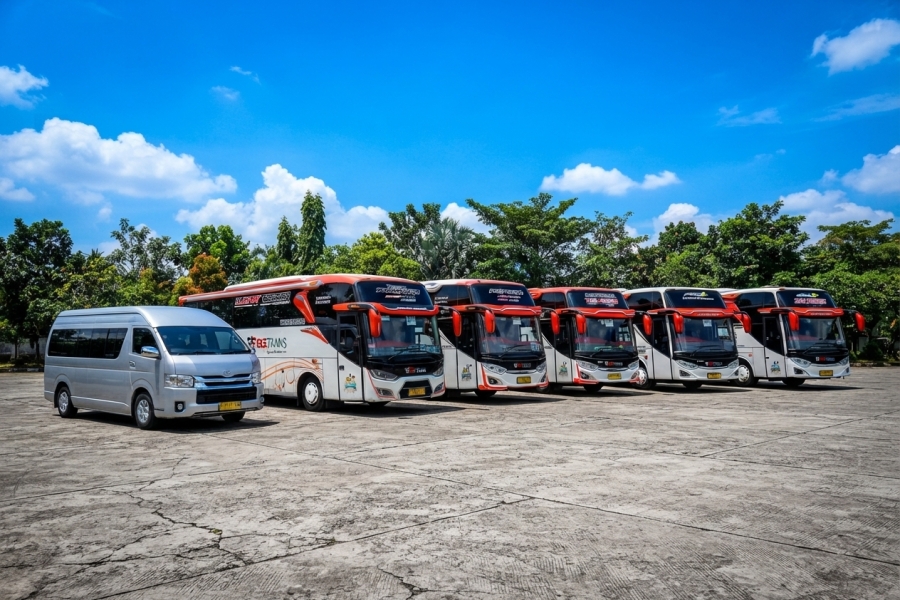 Mengenal Jenis dan Kapasitas Bus Pariwisata untuk Perjalanan Anda
