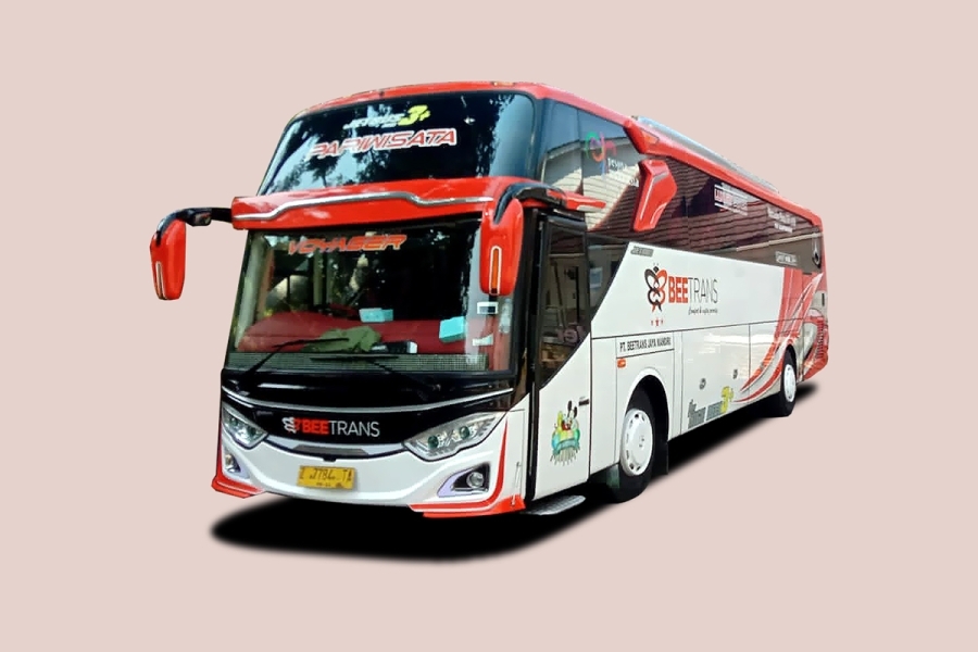 Big Bus Pariwisata